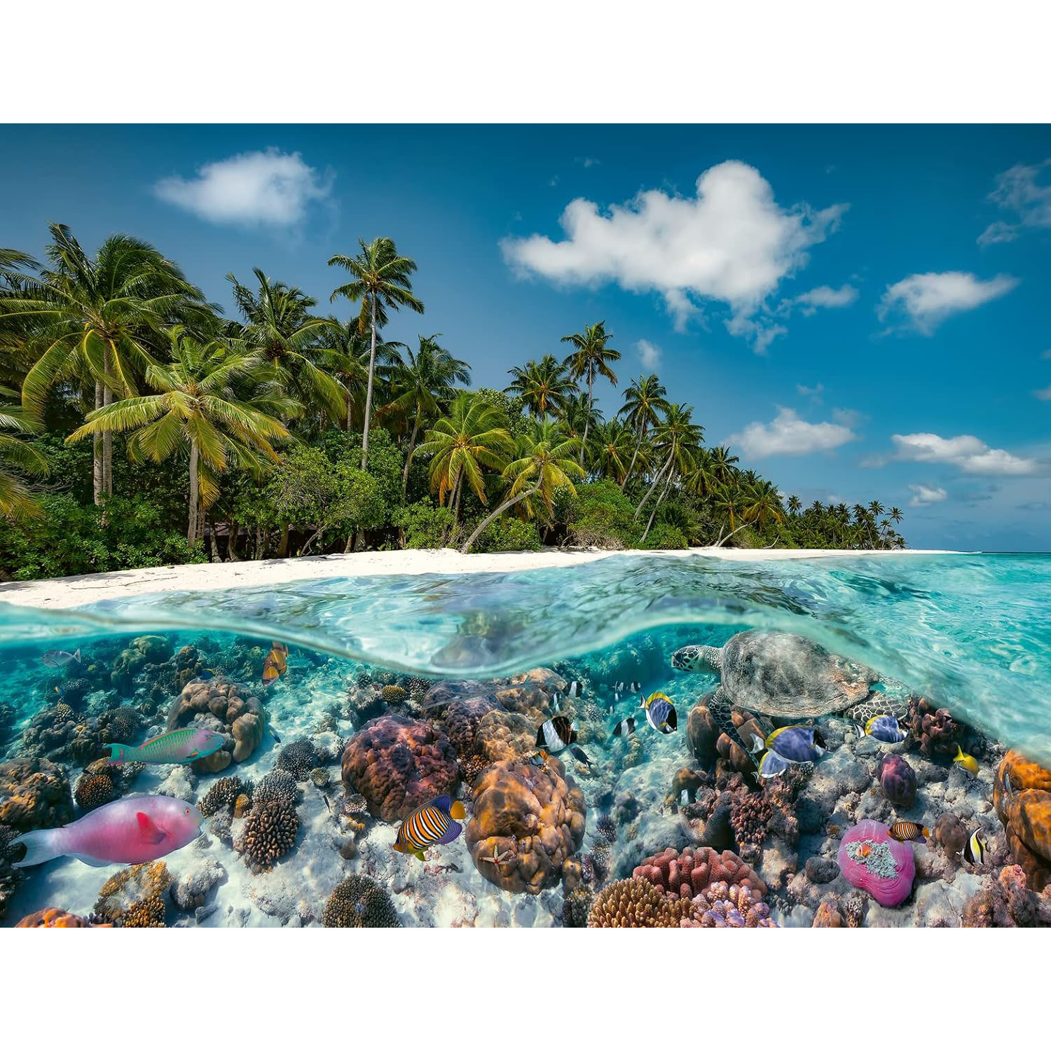 پازل 2000 تکه راونزبرگر مدل A Dive in The Maldives کد 17441