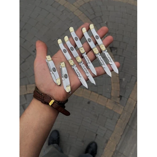 میوه خوره تمام استیل