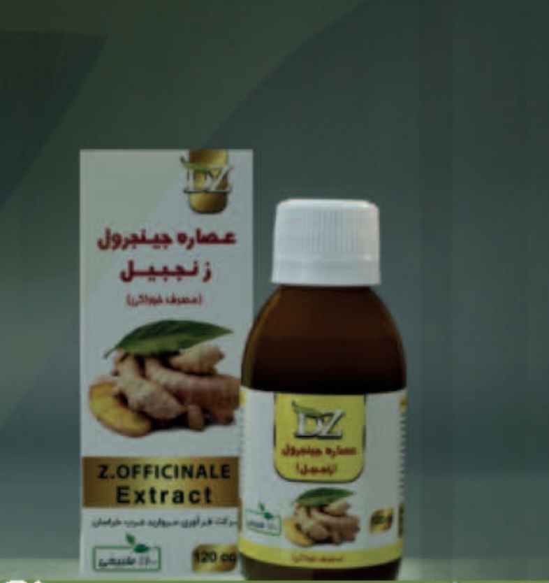 عصاره جینجرول دکتر زرقانی (زنجبیل)