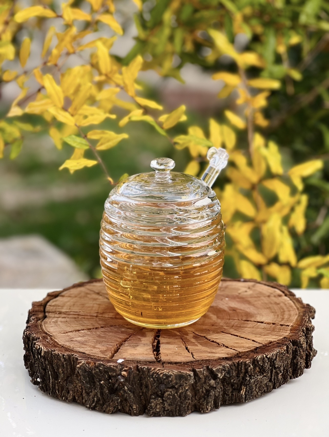 عسل خوری مارپیچ