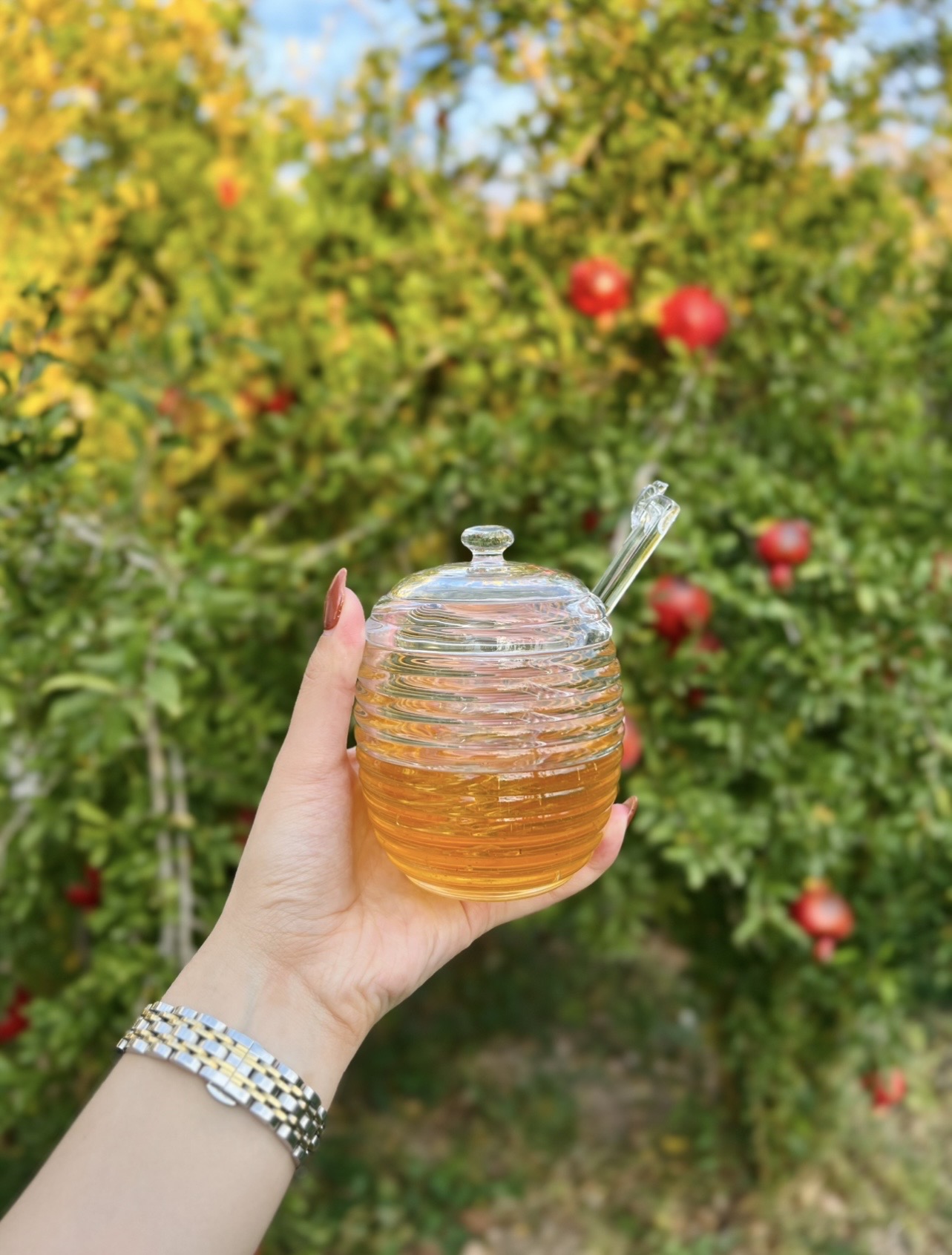 عسل خوری مارپیچ