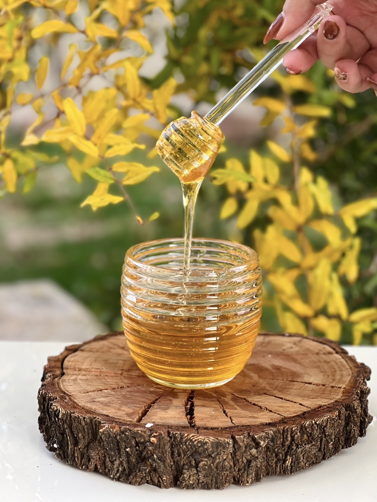 عسل خوری مارپیچ