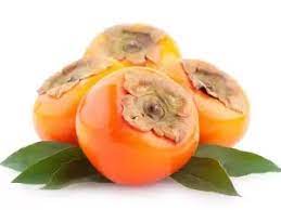 خرید نهال خرمالو کوستاتا Costat