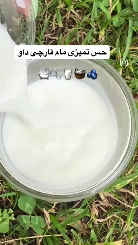 مام قارچی داو
