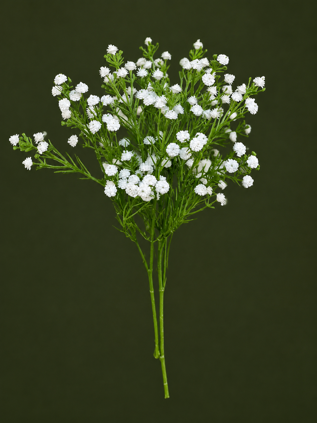 گل عروس (ژیپسوفیلیا) رنگ سفید مدلgypsophila کد 11