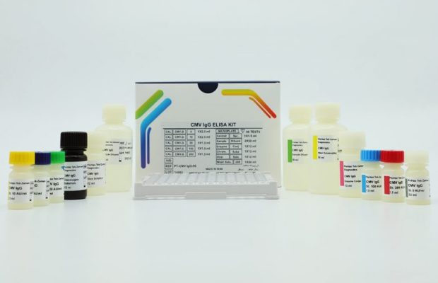 کیت الایزا CMV IgG (96تستی)