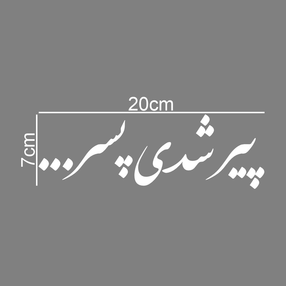 برچسب بدنه خودرو طرح پیر شدی پسر کد MT-W493