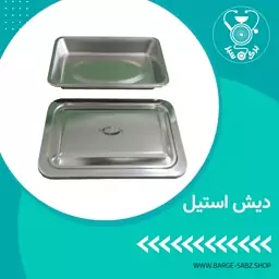 دیش استیل درب دار ابزار جراحی پزشکی استیل ضد زنگ قابلیت ضدعفونی و اتوکلاو موجود در فروشگاه اینترنتی برگ سبز