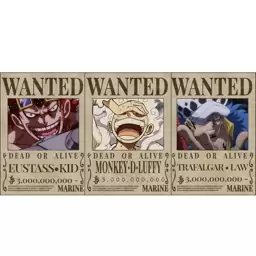 پوستر مدل تحت تعقیب انیمه وان پیس One piece طرح 3 کاپیتان دزدان دریایی مجموعه 3 عددی 