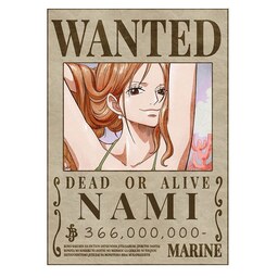 پوستر مدل تحت تعقیب انیمه وان پیس One piece  طرح نامی Nami  سایز  A6  کد 924