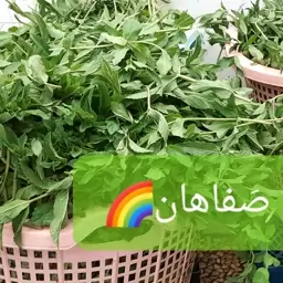 نعنا خشک صدگرمی خشک مزه صفاهان