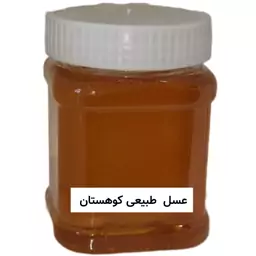 عسل طبیعی کوهستان (نیم کیلویی) خرید از زنبوردار 