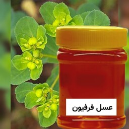 عسل طبیعی فرفیون (شیرتیزه) نیم کیلویی خرید از زنبوردار 