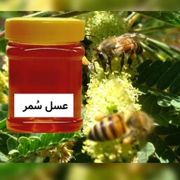 عسل سُمر (کهور)  نیم کیلویی  خرید مستقیم از زنبوردار 