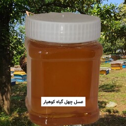 عسل چهل گیاه طبیعی (نیم کیلویی)  خرید مستقیم از زنبوردار 