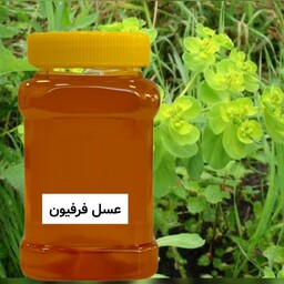عسل طبیعی فرفیون (شیرتیزه) یک کیلویی خرید از زنبوردار 