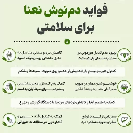 نبات دمنوشی قلبی با طعم نعنا 