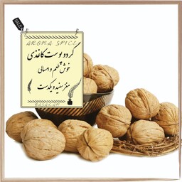 گردو پوست کاغذی خارجی نیم کیلوگرمی مغز سفید اعلا ، پوست نازک ، امسالی 