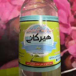 عرق بید