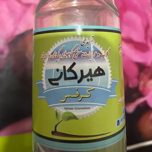 عرق کرفس