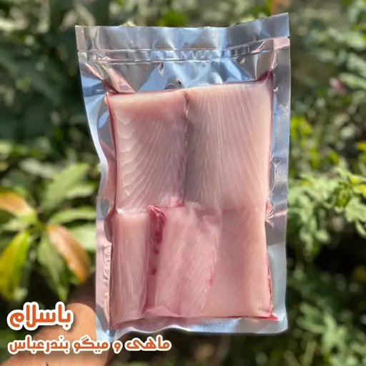 فیله ماهی شیر تازه و صید روز - 1 کیلوگرم 