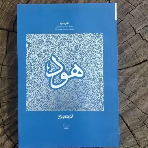 کتاب حضرت هود به قلم محمدرضا عابدینی از انتشارات معارف