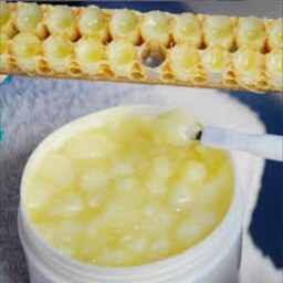 ژل رویال اصل یا ژل سلطنتی یا انگبین 10 گرم خالص زنبورستان ماهور درمانی فوق العاده زنبور بومی فلات ایران        