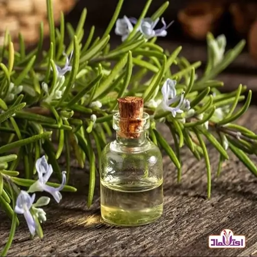 روغن رزماری 30 سی سی اعتماد درجه یک و خالص