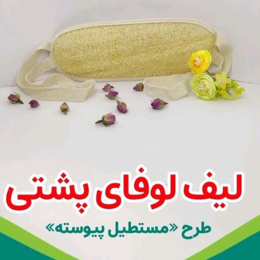 لیف لوفای پشتی درجه یک 