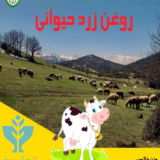 روغن زرد حیوانی گاوی ( 1000 گرم)