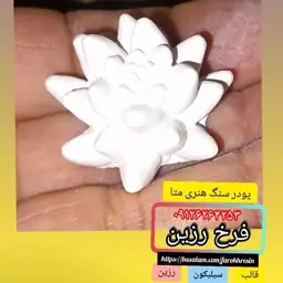 بیس خام گیاه گوشتی (ساکولنت)