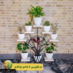 استند گلدان طرح دم طاووسی 8 عددی مونتاژی ، (هزینه ارسال به صورت پس کرایه)