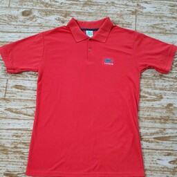 تیشرت  مردانه تیشرت یقه دار  جودون  مردانه  سایز لارج  تیشرت  رنگ قرمز  تیشرت یقه پیراهنی شیک 
