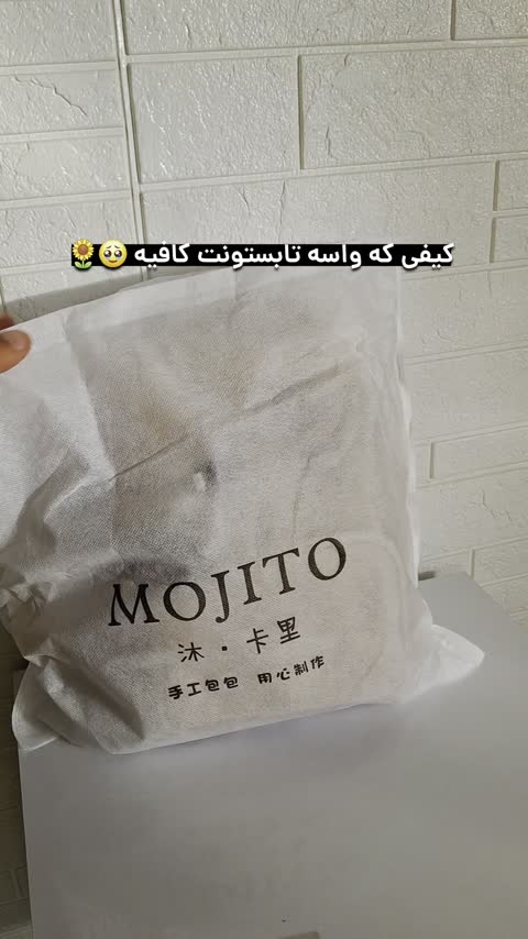 کیف زنانه وارداتی اسپرت کد 1006 موجیتو