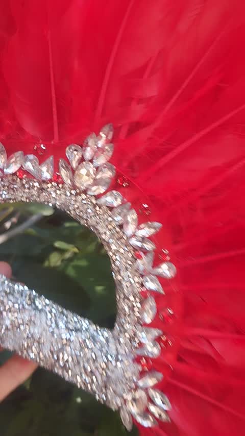 بادبزن زیبای پر 