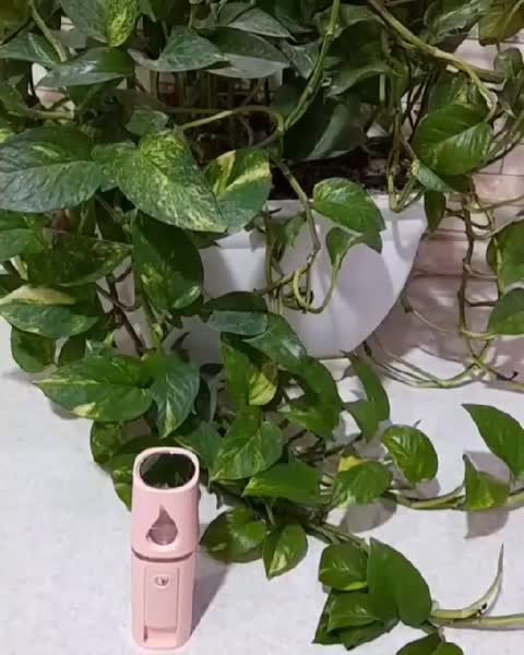 بخورسردجیبی کوچیک