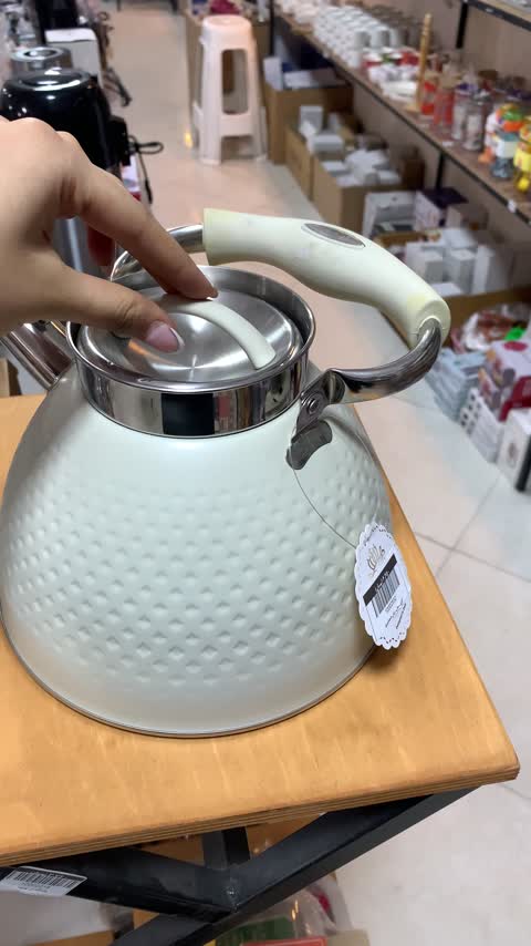 کتری استیل سوتی برفی