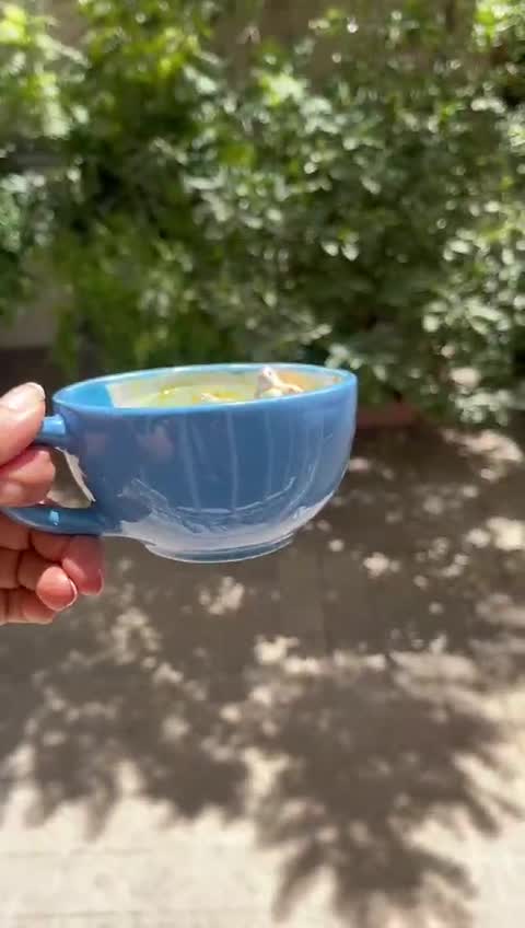 ماگ سورپرایزی دستساز لاک پشت