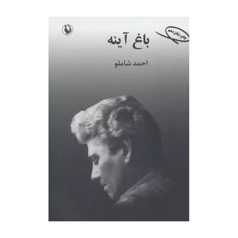 کتاب باغ آینه