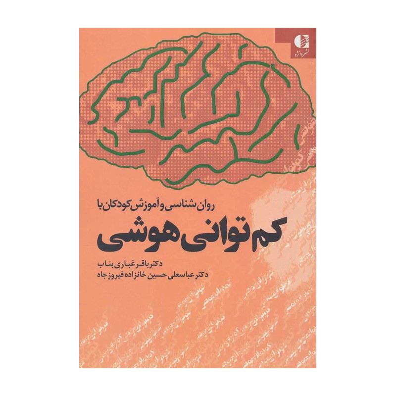 کتاب روان شناسی و آموزش کودکان با کم توانی هوشی نویسنده  مجموعه ی نویسندگان