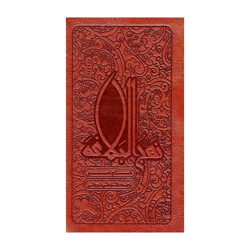 نهج البلاغه (کلام امیر)، پالتویی