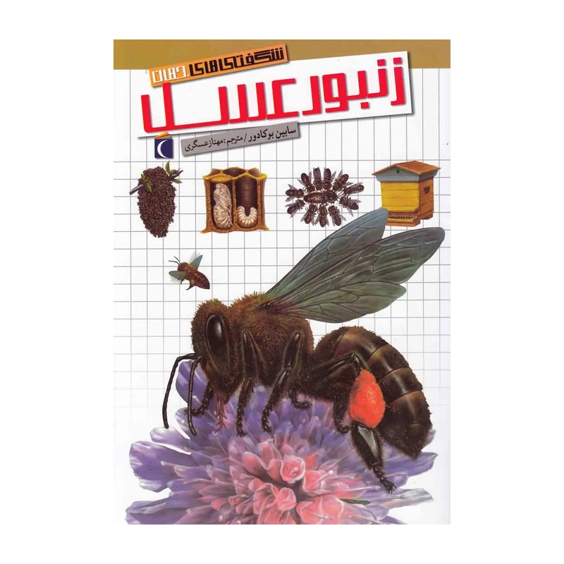 کتاب زنبور عسل اثر موریس مترلینگ نشر مبین اندیشه