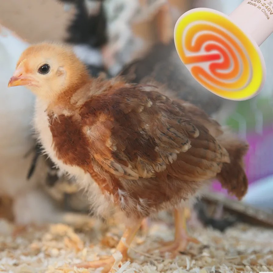 لامپ حرارتی سرامیکی ( e27. 150w)