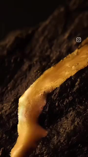 ادکلن آنجلا با رایحه تامفورد لاست چری