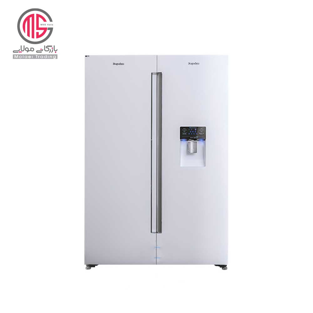 یخچال فریزر دوقلو 40 فوت دیپوینت مدل MAX ( پس کرایه )