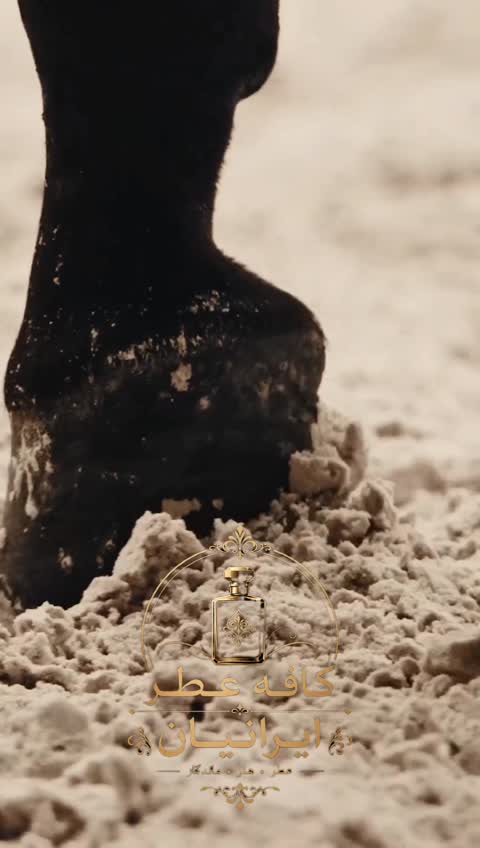 عطر کرید اونتوسCreed Aventus( مرجوع بدون شرط)