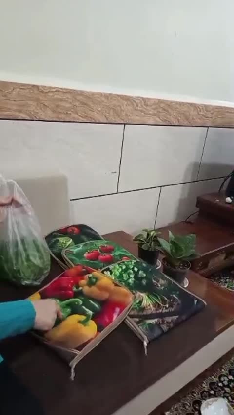کیف سبزی