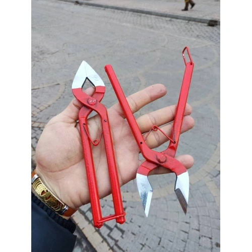 قیچی قند شکنی