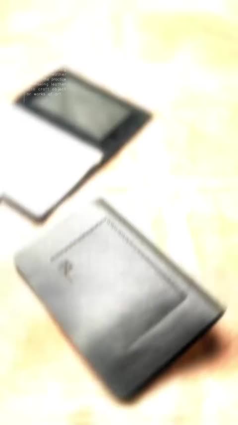 کیف مدارک DW100