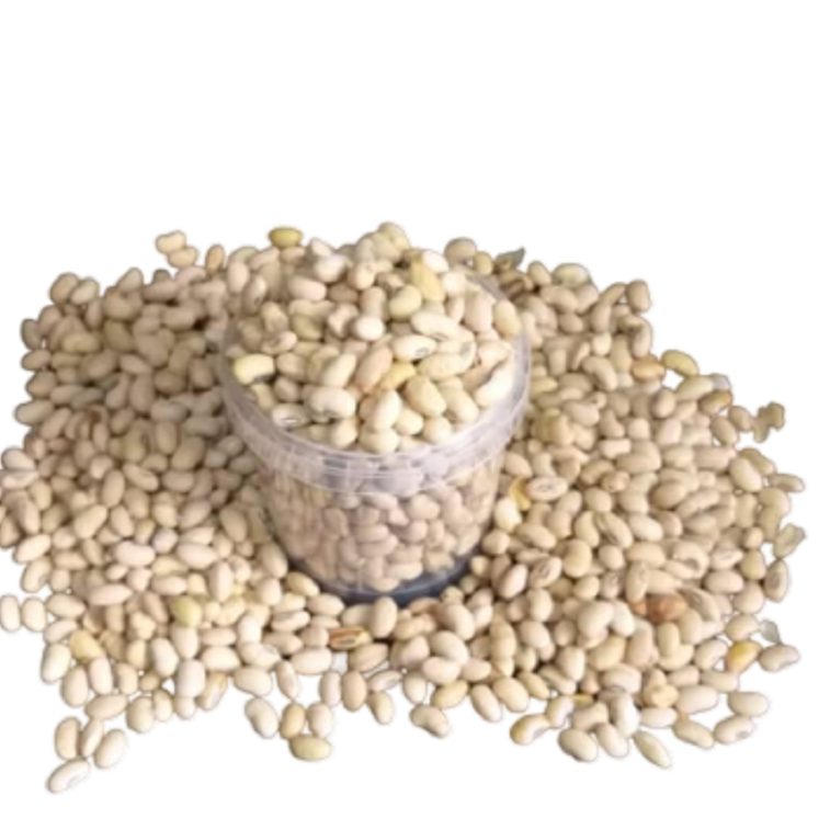سویا (لوبیا روغنی ) نمکی 2 کیلو ارسال رایگان